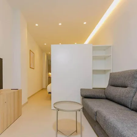 Centrico Loft Con Terraza. 1 Apartment *